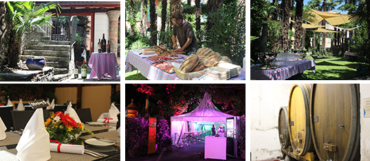 Referenzen binggeli Jubi